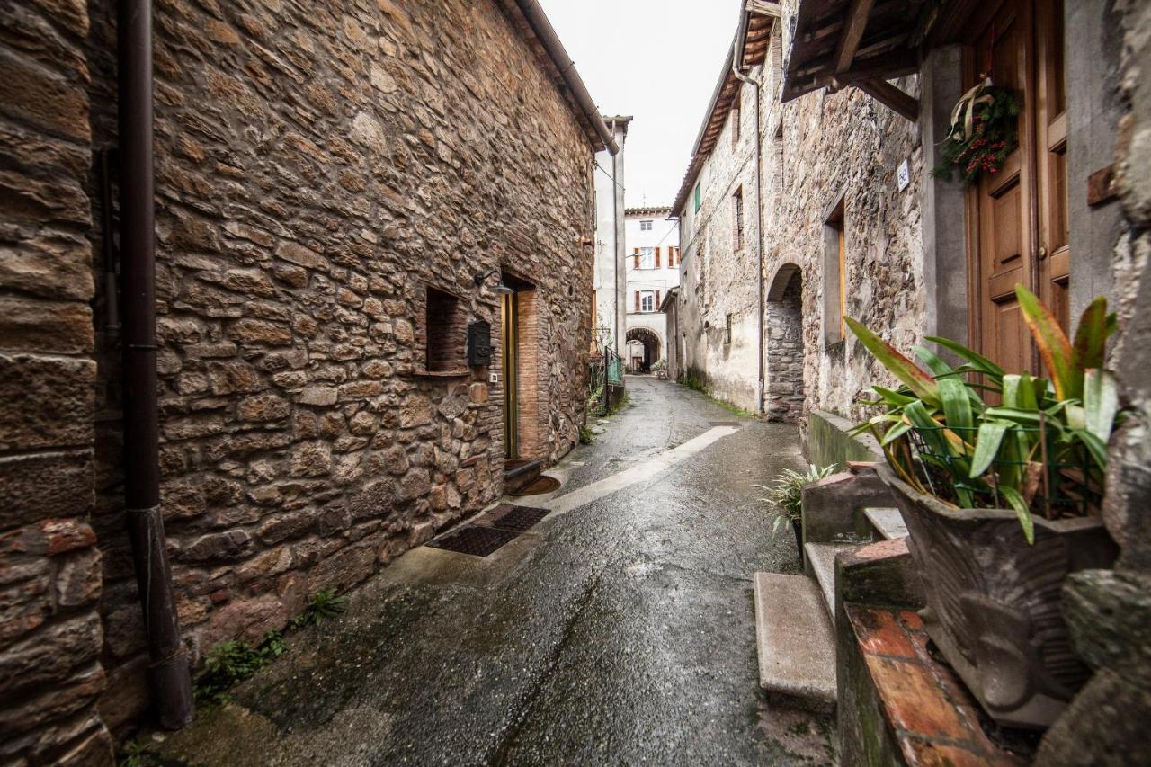 Accogliente Appartamento Sulle Colline Toscane カパンノリ エクステリア 写真